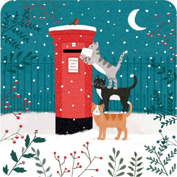 Luxury Charity Christmas Cards - Moonlight Cats - Pack of 10